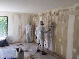 Best Crawl Space Mold Remediation  in Vandenberg Af, CA